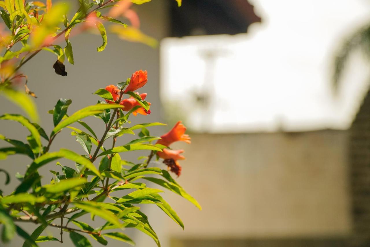 Dunasol Floripa Estalagem